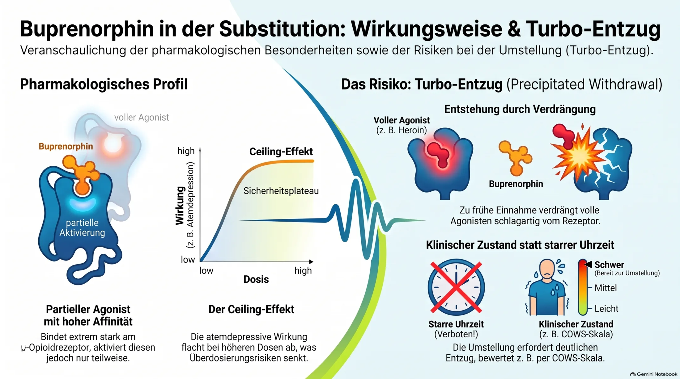 Infografik zu Buprenorphin und Subutex mit Wirkungsweise am μ-Opioidrezeptor, Substitution, Ceiling-Effekt und Risiko eines Turbo-Entzugs