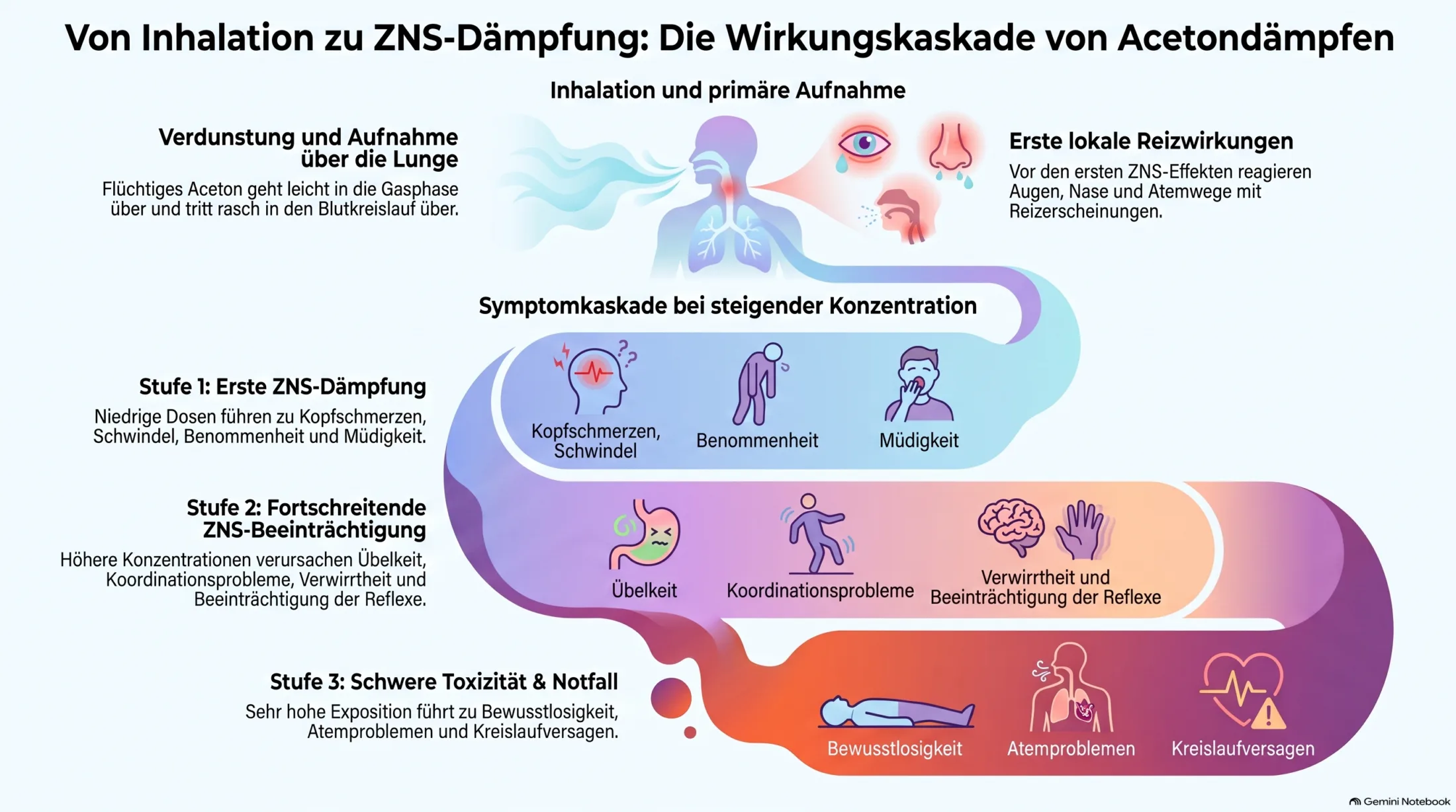 Wirkungskaskade von Acetondämpfen vom Einatmen bis zu Reizung, Schwindel, Benommenheit und möglicher Vergiftung