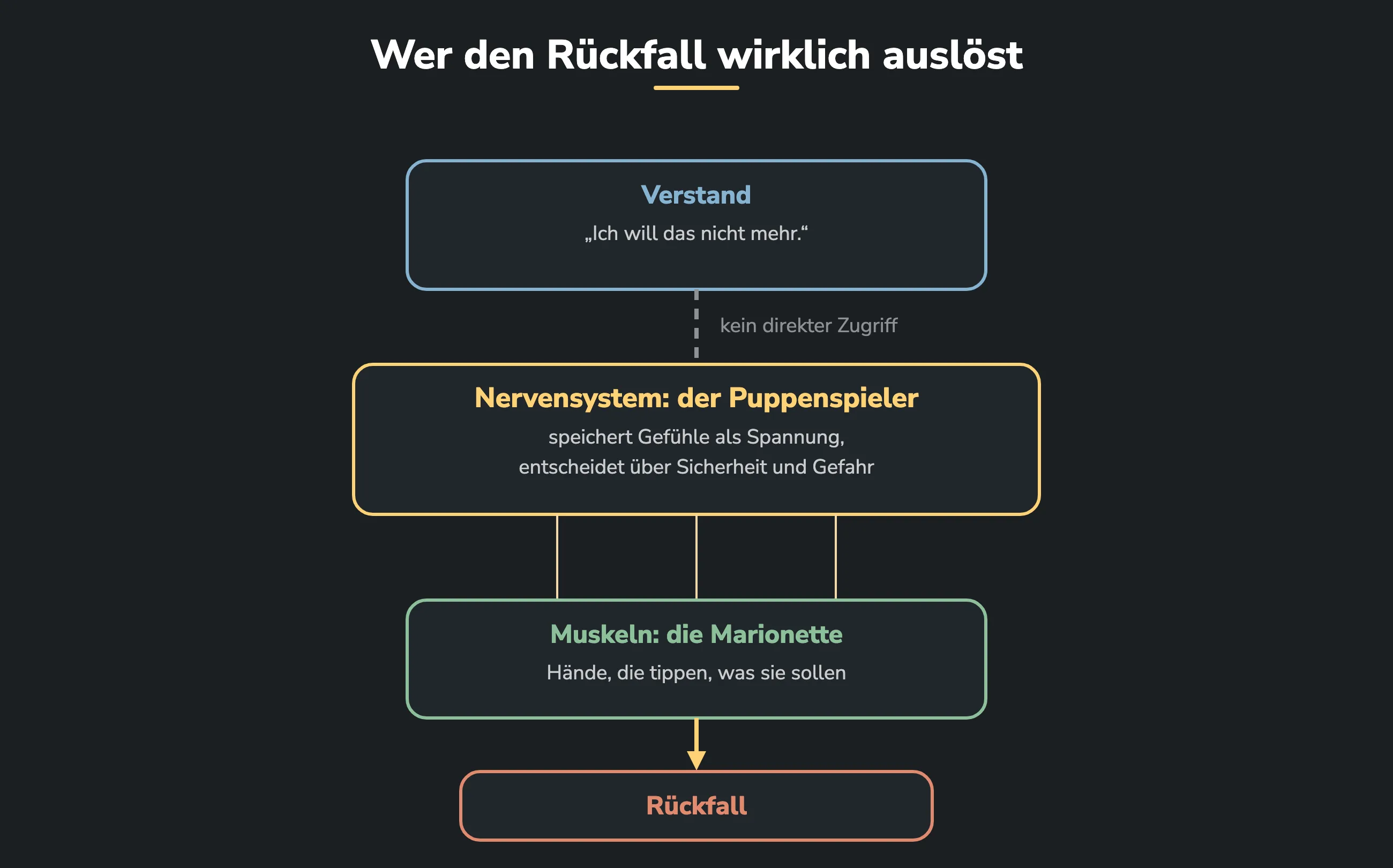 Wer bei Pornosucht den Rückfall wirklich auslöst. Der Verstand hat keinen direkten Zugriff auf das Nervensystem. Das Nervensystem steuert als Puppenspieler die Muskeln, die Marionette, und so kommt es zum Rückfall.