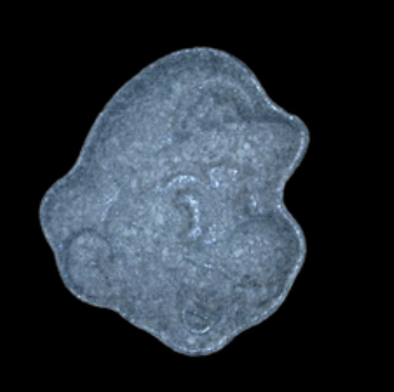 Pillenfoto